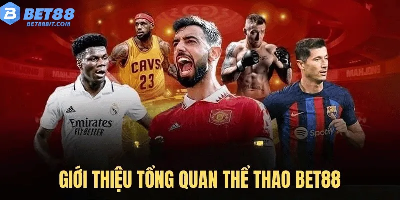 Giới thiệu tổng quan thể thao bet88 Giới thiệu tổng quan thể thao bet88